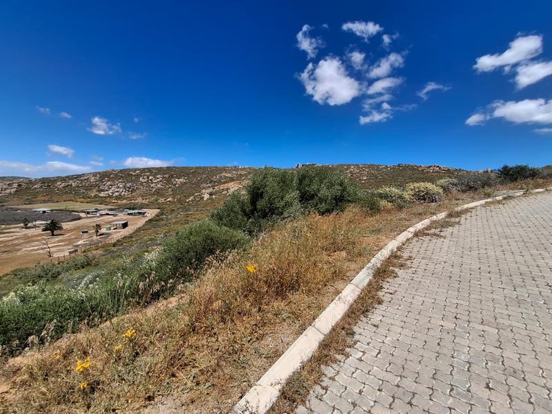 0 Bedroom Property for Sale in Blueberry Hill Western Cape